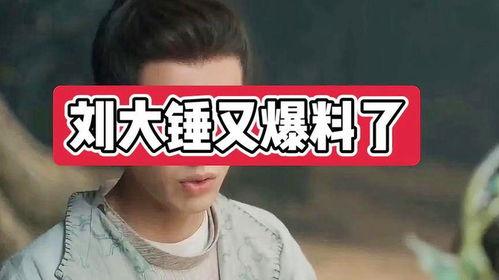 刘大锤最新爆料消息今天,今日热点事件深度解析