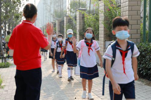 开封爆料小学生事件最新