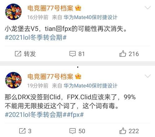 最新爆料转会信息网站,最新爆料揭示豪门球队引援动向